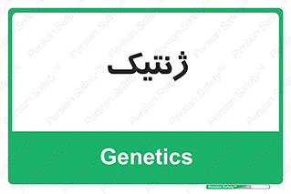  , دی ان ای , 