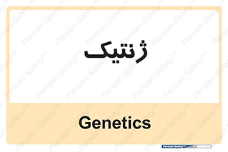  , دی ان ای , 