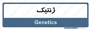  , دی ان ای , 