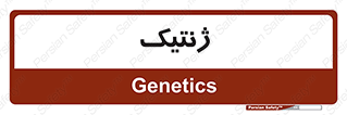  , دی ان ای , 