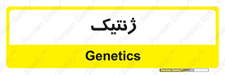  , دی ان ای , 