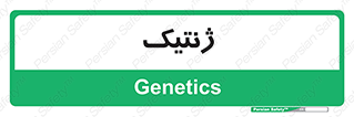  , دی ان ای , 