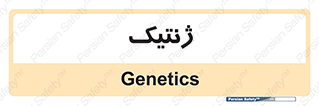  , دی ان ای , 