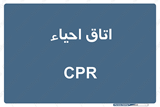  , سی پی آر , بازگرداندن , 