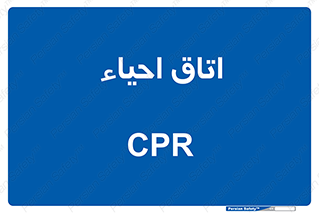  , سی پی آر , بازگرداندن , 