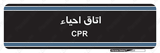  , سی پی آر , بازگرداندن , 