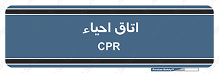  , سی پی آر , بازگرداندن , 