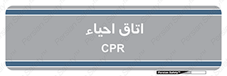  , سی پی آر , بازگرداندن , 