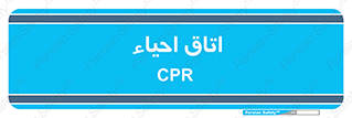  , سی پی آر , بازگرداندن , 
