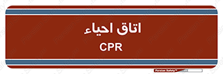  , سی پی آر , بازگرداندن , 