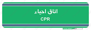  , سی پی آر , بازگرداندن , 