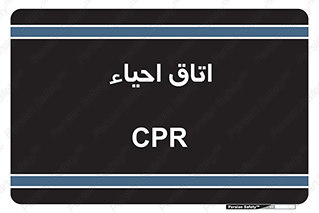  , سی پی آر , بازگرداندن , 