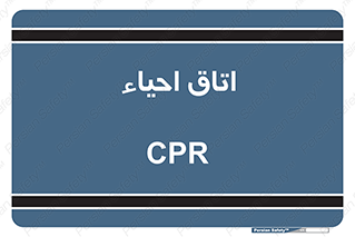 , سی پی آر , بازگرداندن , 