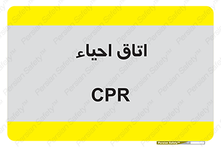  , سی پی آر , بازگرداندن , 