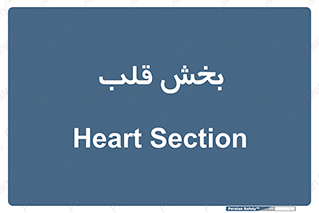  , واحد , 