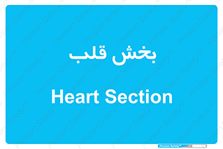  , واحد , 