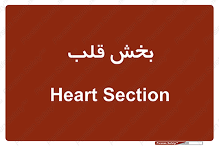  , واحد , 