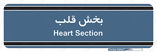  , واحد , 