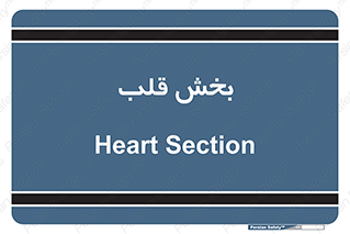  , واحد , 