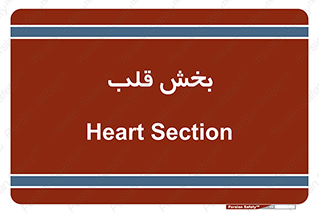  , واحد , 