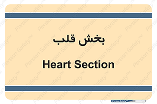  , واحد , 
