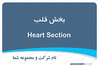  , واحد , 