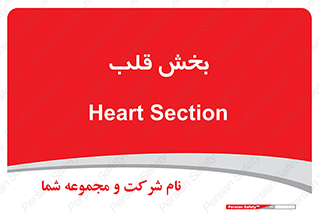  , واحد , 
