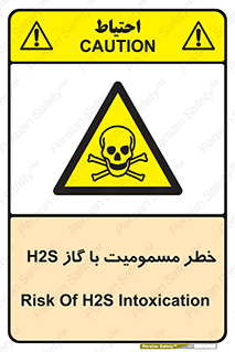 gas , poisoning , Hydrogen sulfide , هیدروژن سولفید , گاز سمی , 