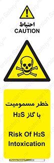gas , poisoning , Hydrogen sulfide , هیدروژن سولفید , گاز سمی , 