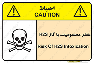 gas , poisoning , Hydrogen sulfide , هیدروژن سولفید , گاز سمی , 