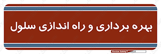  , افتتاح , شروع به کار , 