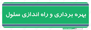  , افتتاح , شروع به کار , 