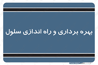  , افتتاح , شروع به کار , 