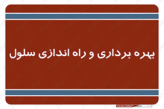  , افتتاح , شروع به کار , 
